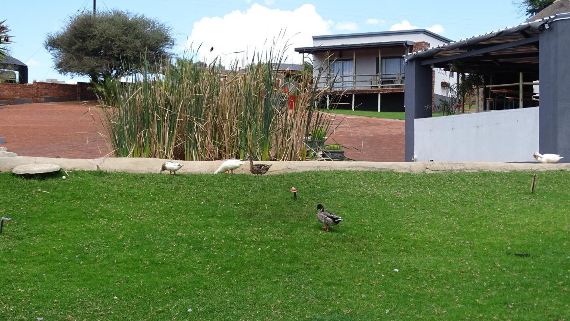 Eden Chalets Windhoek Ngoại thất bức ảnh